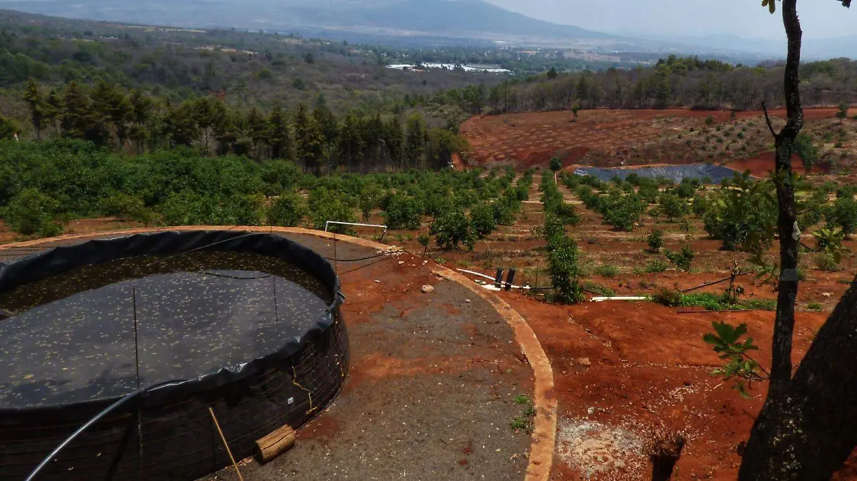 Olla de agua para riego de cultivos